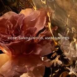 Absolus Allegoria Santal Royal Parfum
