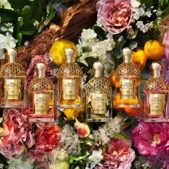 Aqua Allegoria Forte Bosca Vanilla Parfum