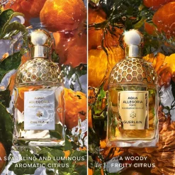 Aqua Allegoria Mandarine Basilic Forte
