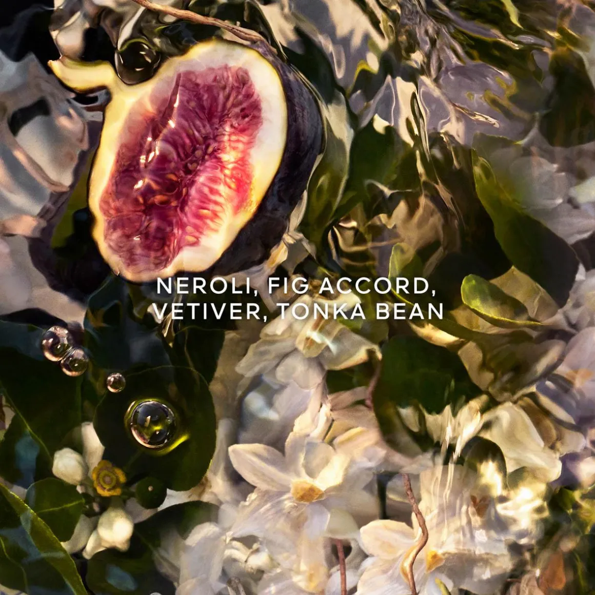 Aqua Allegoria Nerolia Vetiver Forte Kopen