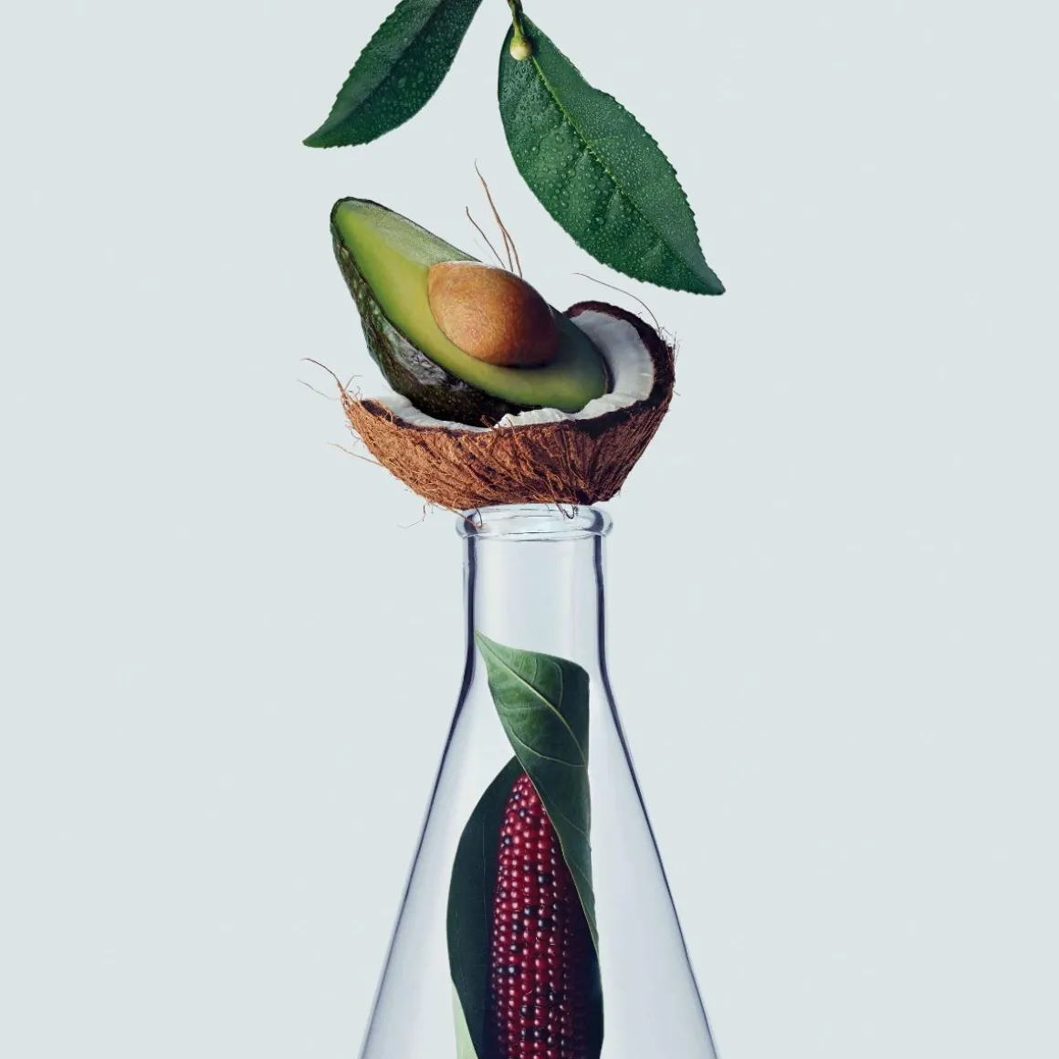 Aveda Botanical Repair Shampoo Kopen