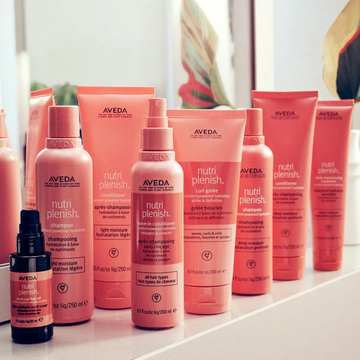 Aveda Nutriplenish Curl Gelee Kopen