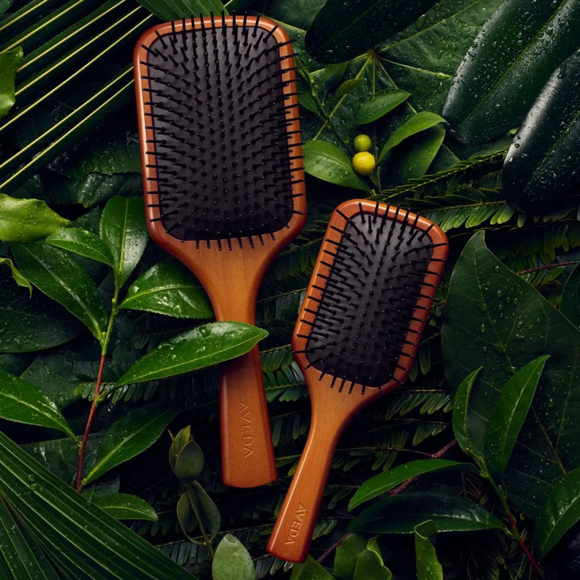 Aveda Paddle Brush Kopen