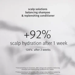 Aveda Scalp Solutions Balancing Shampoo