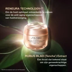 Benefìance Overnight Wrinkle Resisting