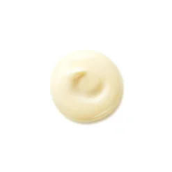 Benefìance Wrinkle Smoothing Day Cream 25