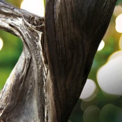 Bulgari Man Wood Essence Eau De Parfum