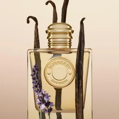Burberry Goddess Bodylotion Kopen