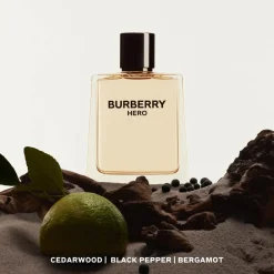Burberry Hero Eau De Toilette Kopen