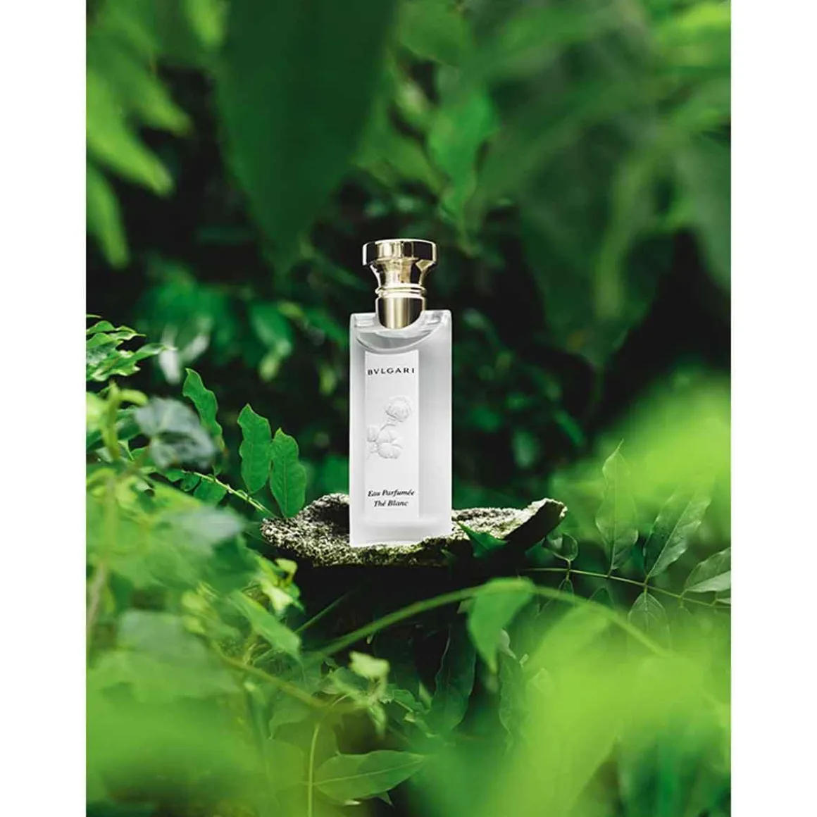 Bvlgari Eau Parfumeé Thé Blanc Kopen