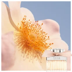 Chloe Eau De Parfum Kopen