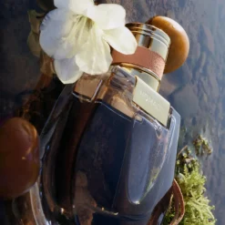 Chloe Nomade Eau De Parfum Kopen