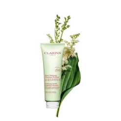 Clarins Purifying Gentle Foaming Cleanser