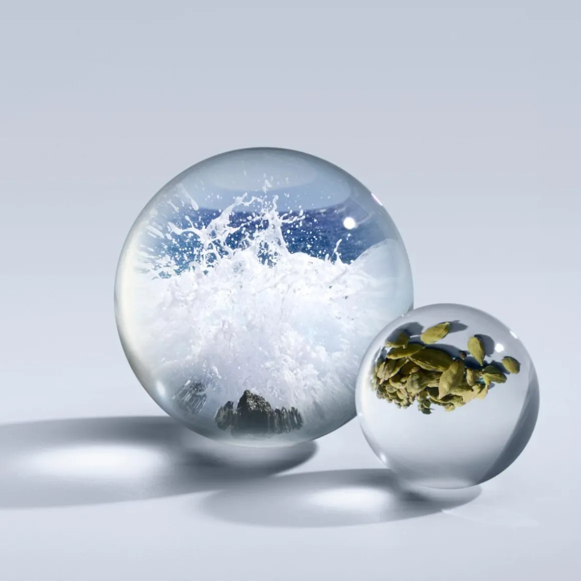 Coastal Cypress & Sea Fennel Parfum Kopen