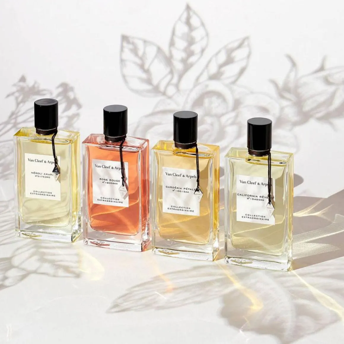 Collection Extraordinaire Rose Rouge Kopen