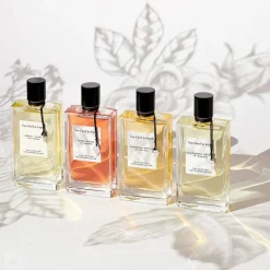 Collection Extraordinaire Gardenia Petale