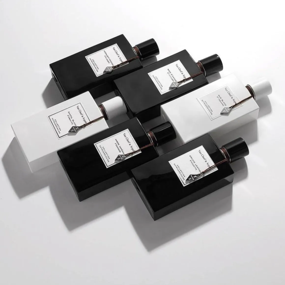Collection Extraordinaire Santal Blanc