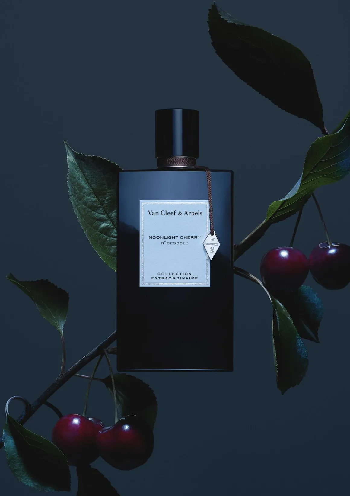 Collection Extraordinaire Moonlight Cherry
