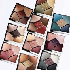 DIOR Diorshow 5 Couleurs Oogschaduwpalette