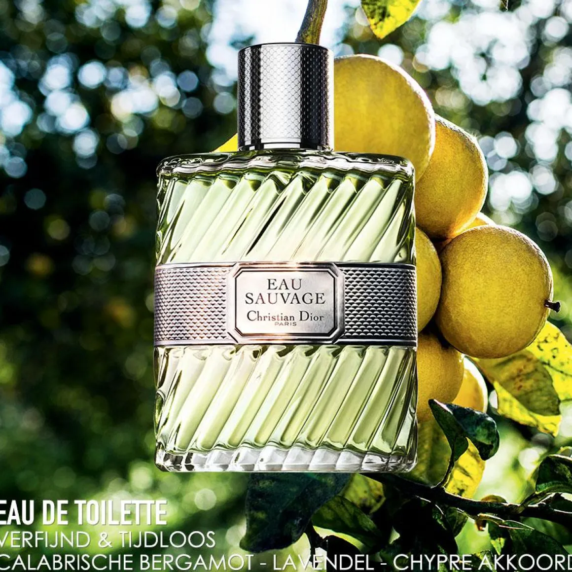 Dior Eau Sauvage Eau De Toilette FLACON