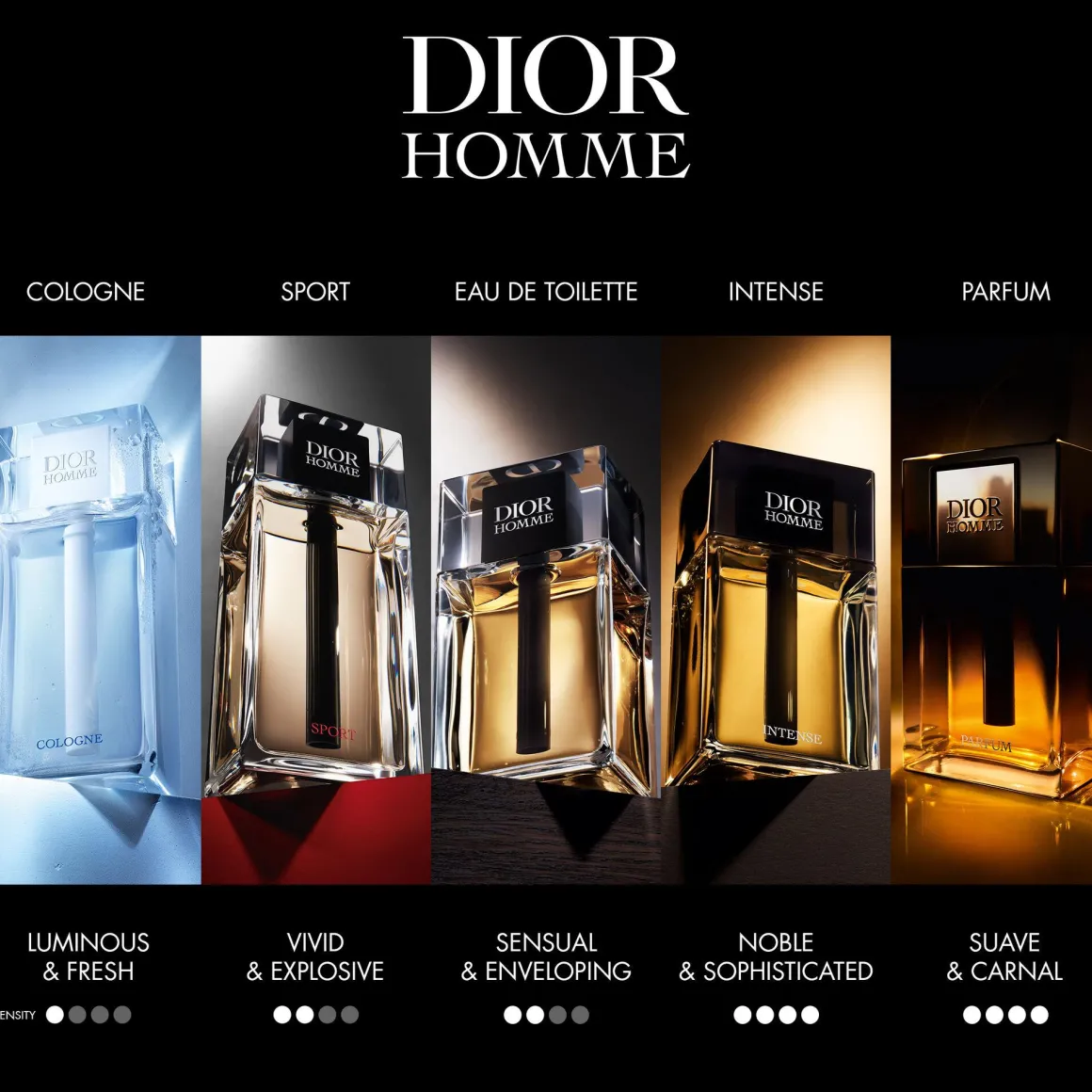 Dior Homme Cologne Kopen