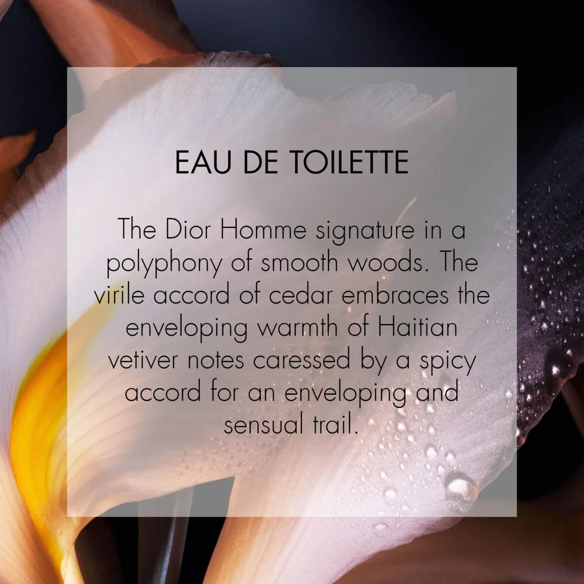 Dior Homme Eau De Toilette Kopen