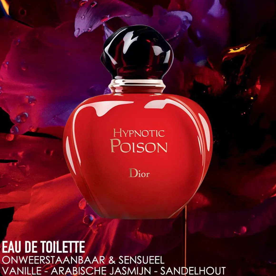 Dior Hypnotic Poison Eau De Toilette Kopen