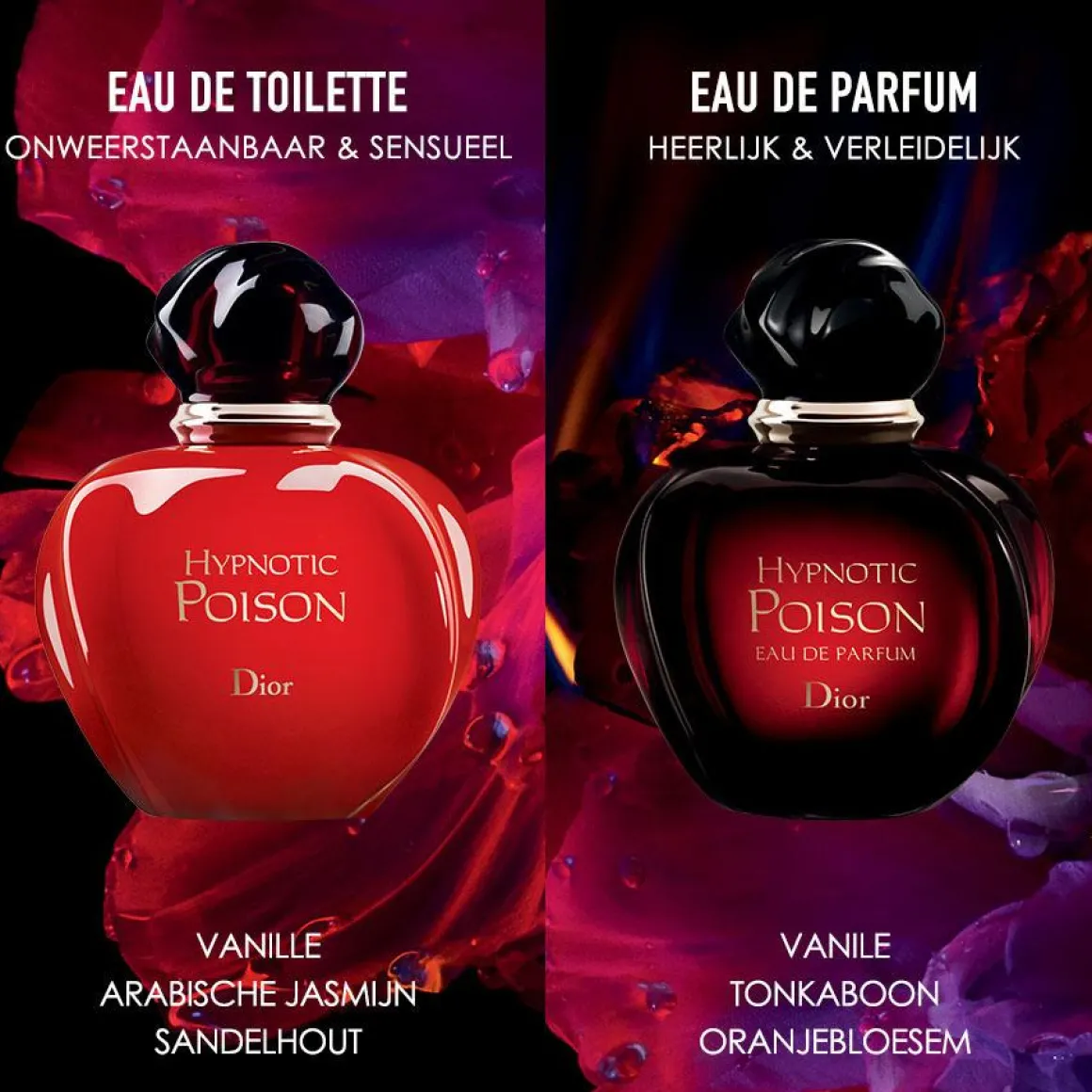 Dior Hypnotic Poison Eau De Toilette Kopen