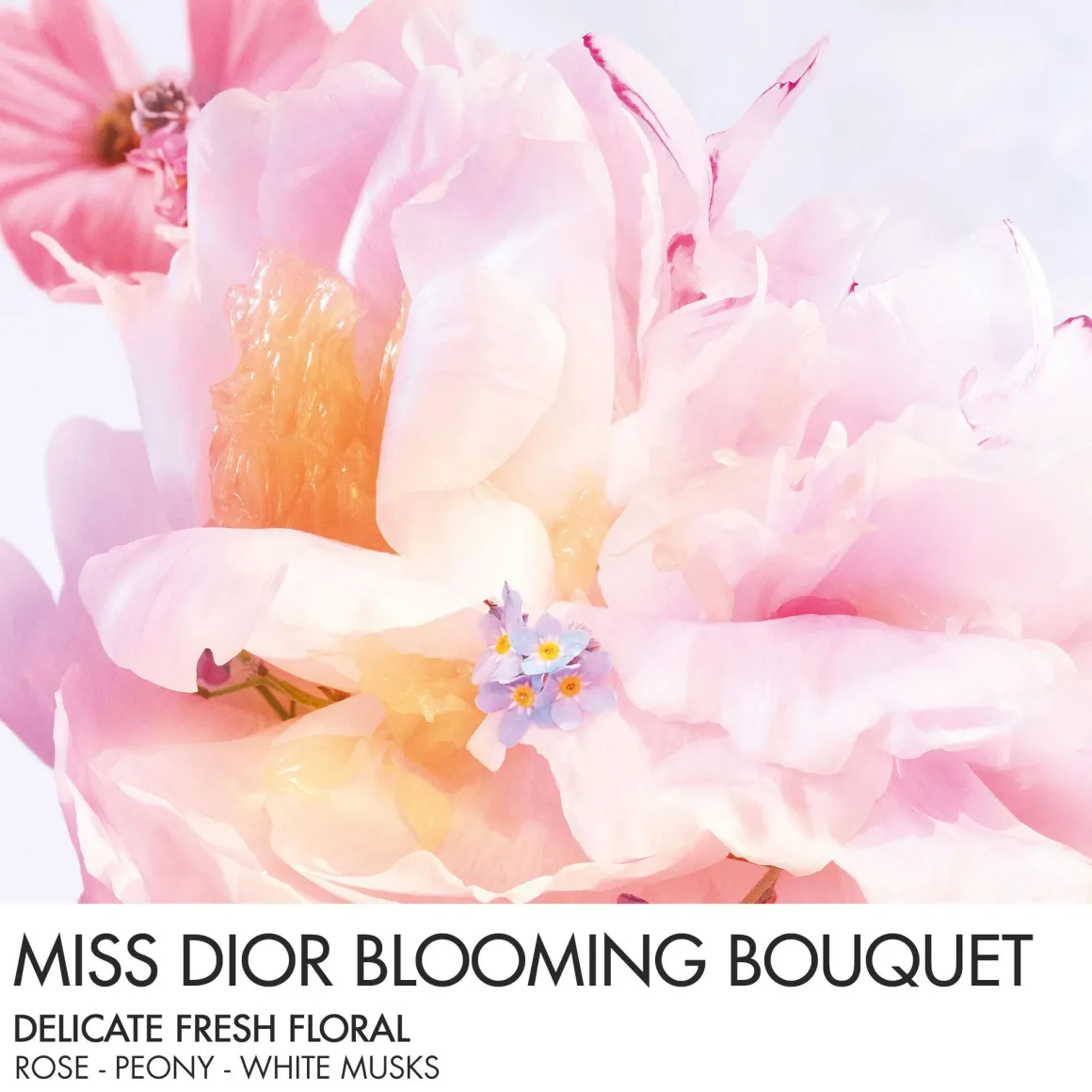 Dior Miss Dior Blooming Bouquet Mini Miss