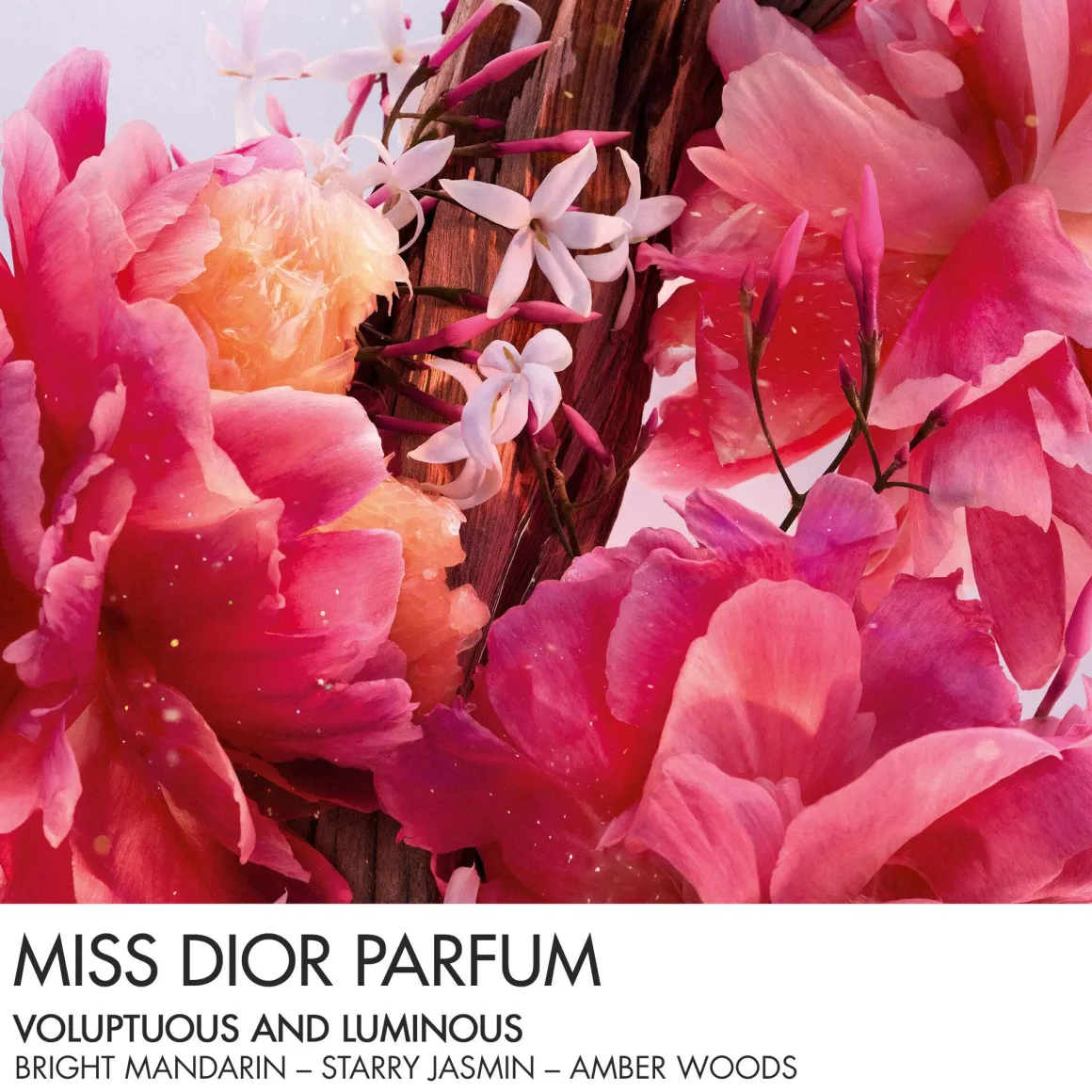 Dior Miss Dior Parfum Roller-Pearl Kopen