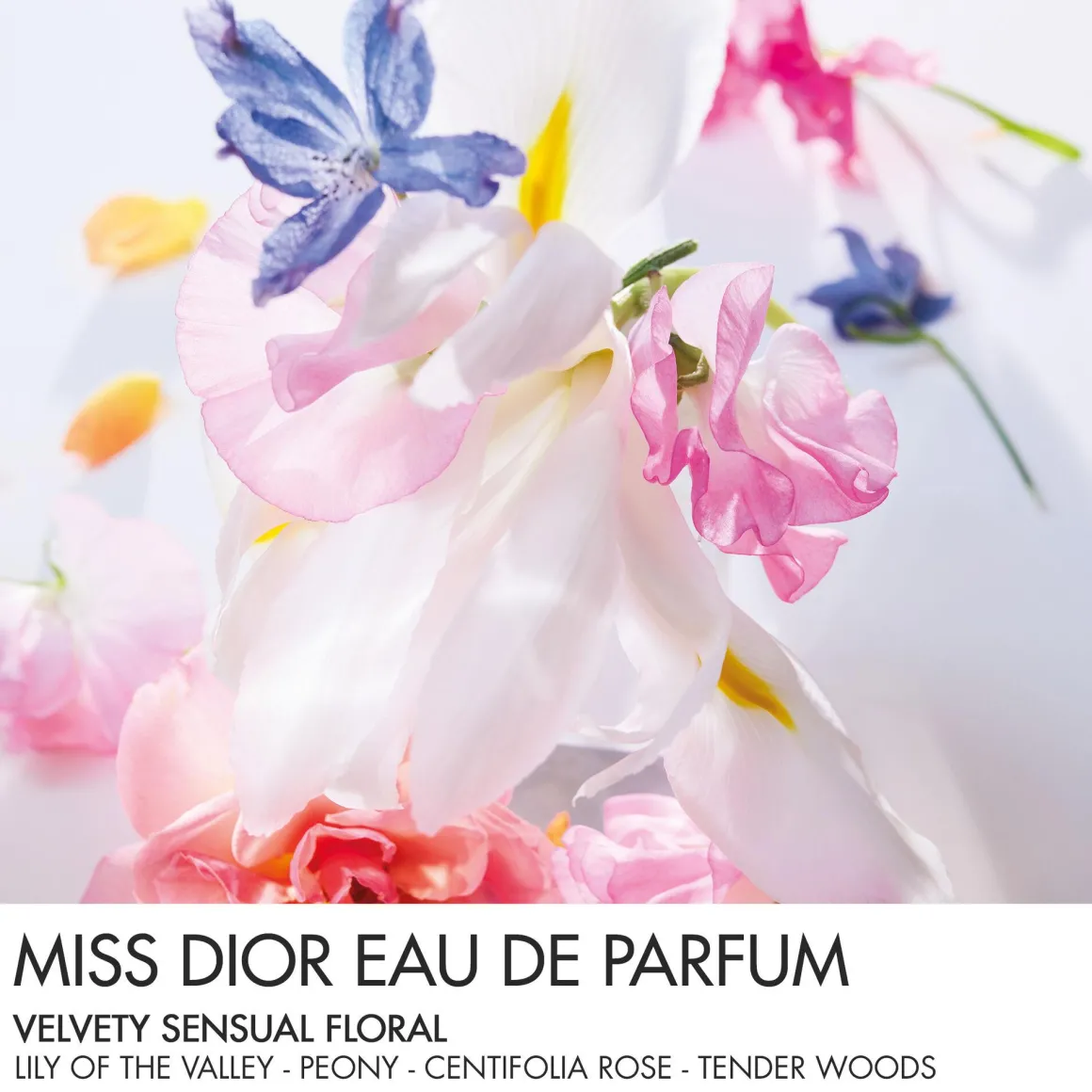 Dior Miss Dior Parfum Roller-Pearl Kopen