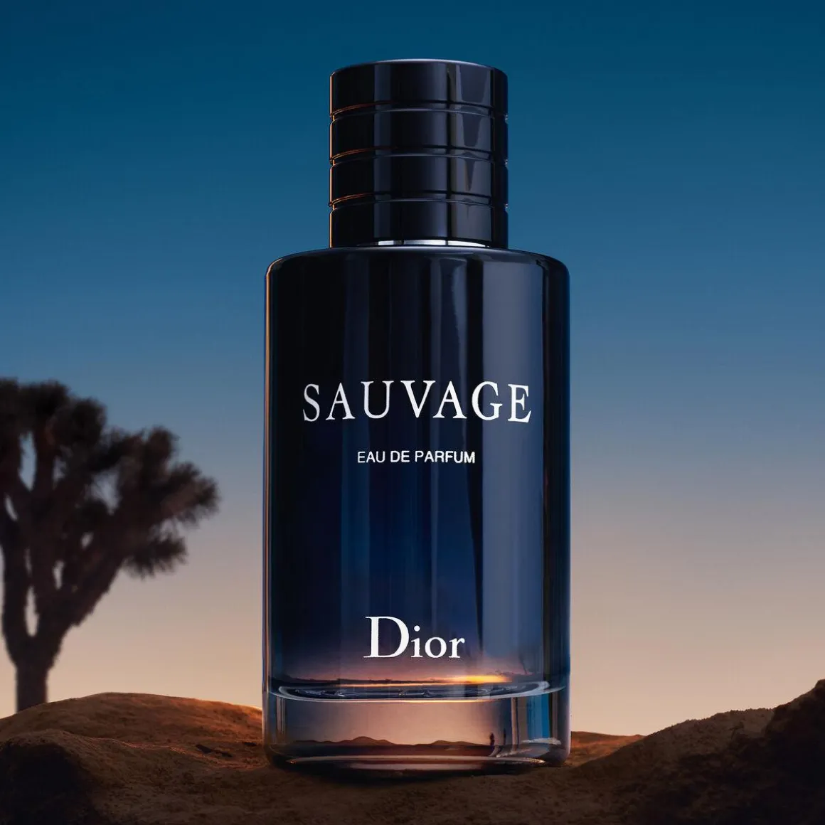 Dior Sauvage Eau De Parfum Navulling Kopen