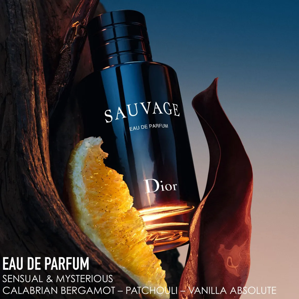 Dior Sauvage Eau De Parfum Kopen