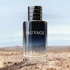 Dior Sauvage Eau De Toilette Kopen