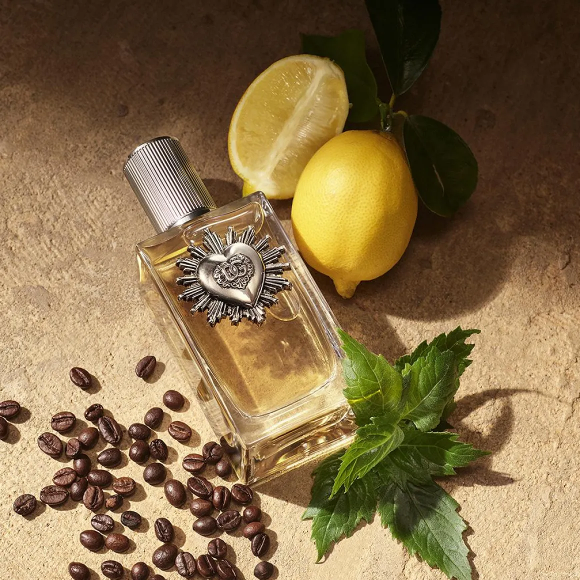 Dolce & Gabbana Devotion For Men Parfum