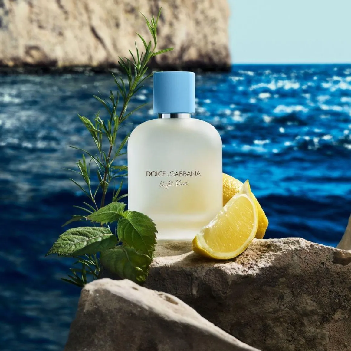 Dolce & Gabbana Light Blue Pour Homme