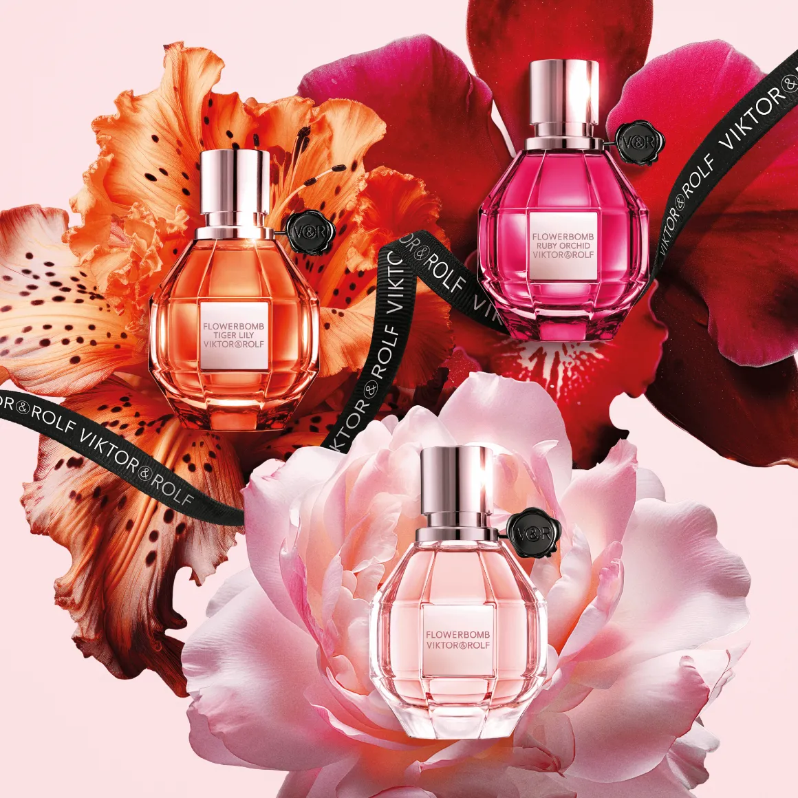 Flowerbomb Ruby Orchid Parfum Kopen