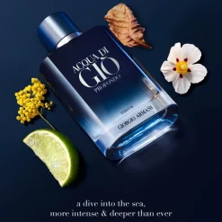 Giorgio Acqua Di Giò Profondo Le Parfum