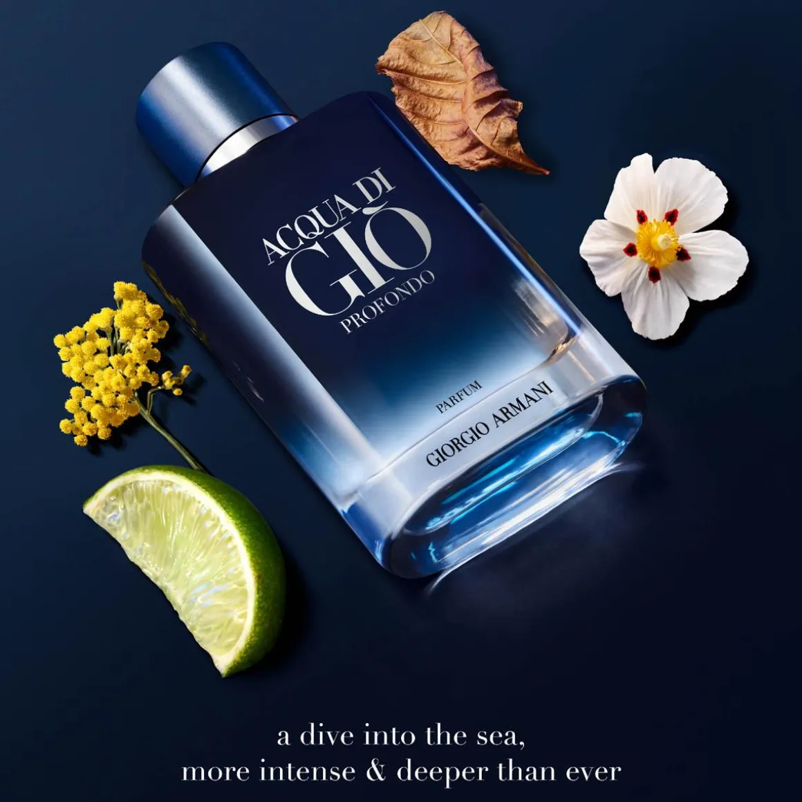 Giorgio Acqua Di Giò Profondo Le Parfum