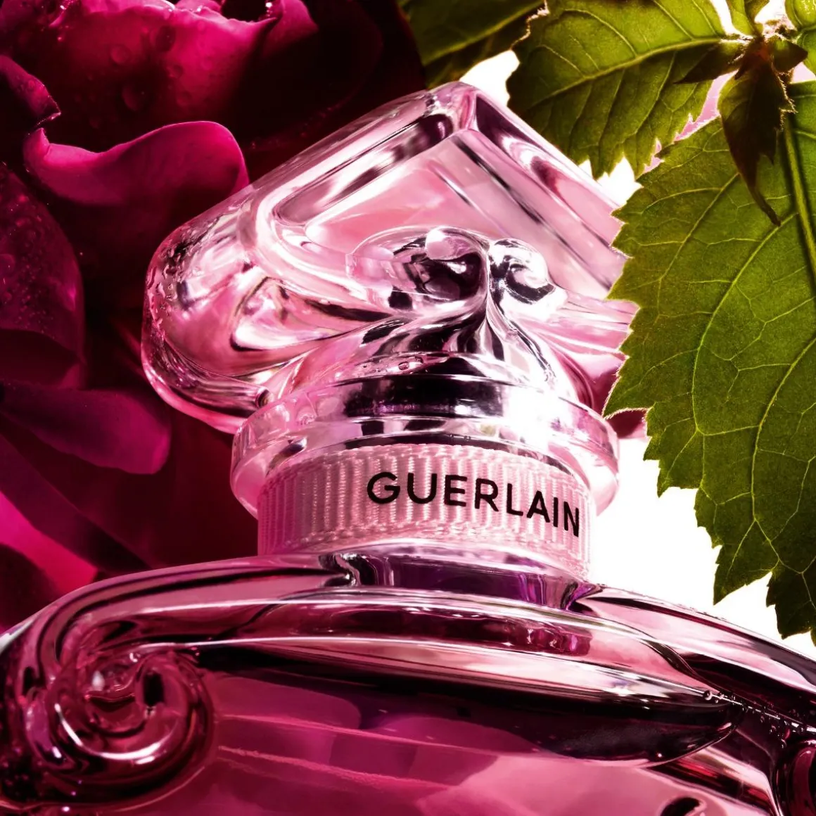 Guerlain La Petit Robe Noire Absolue Parfum