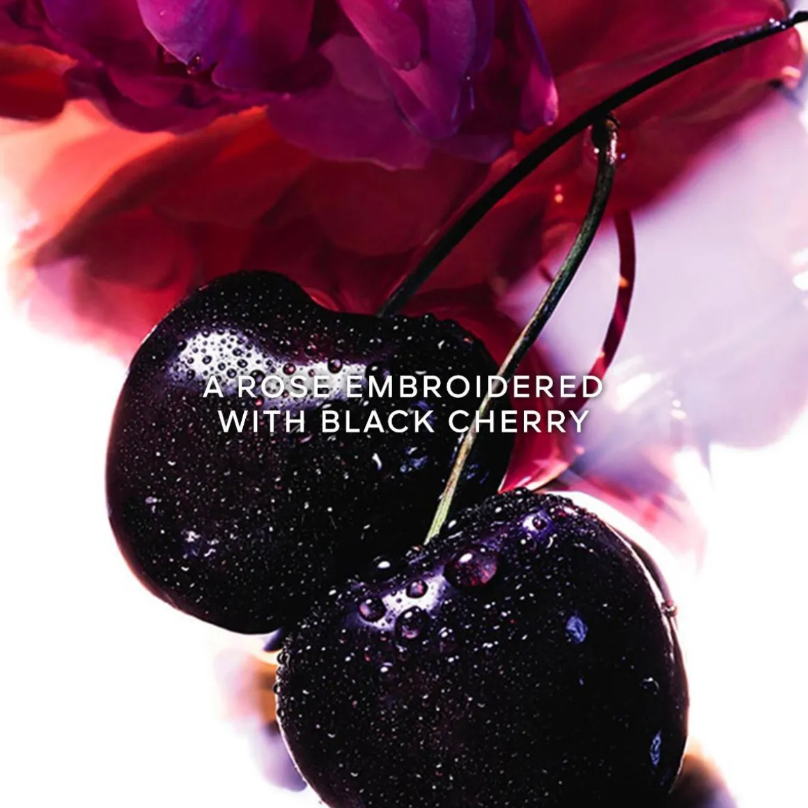 Guerlain La Petite Robe Noire Parfum Kopen