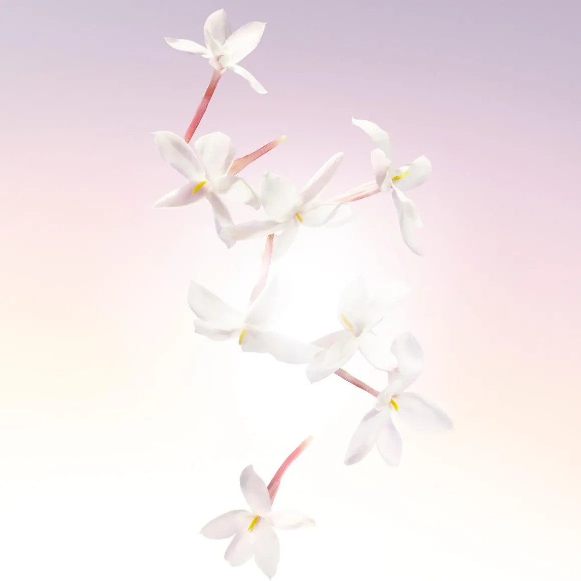 Lancôme Idôle Eau De Parfum Kopen