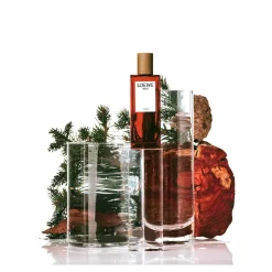 Loewe Solo Loewe Cedro Eau De Toilette