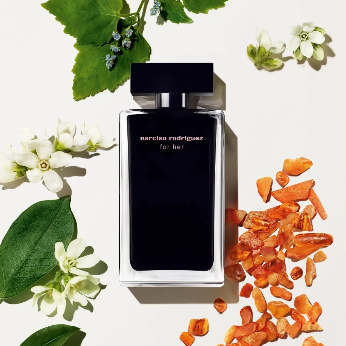 Narciso Rodriguez For Her Kopen