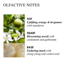 Orange & Bergamot Fine Liquid Handwash