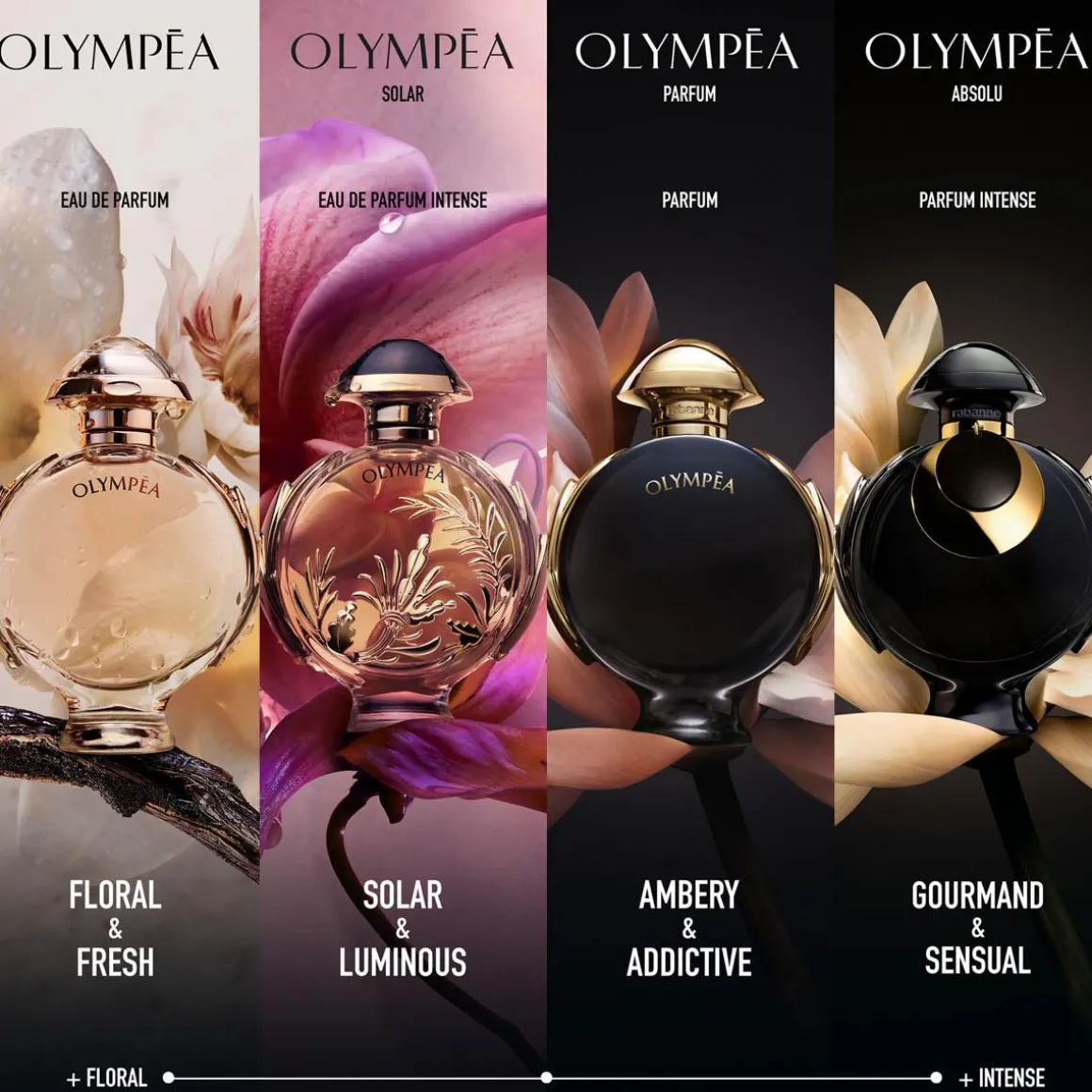 Rabanne Olympéa Absolu Parfum Kopen
