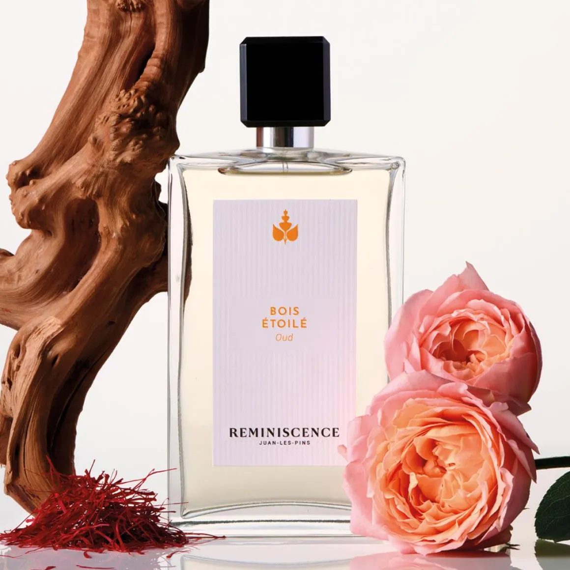 Reminiscence Bois Étoilé Oud Parfum Kopen