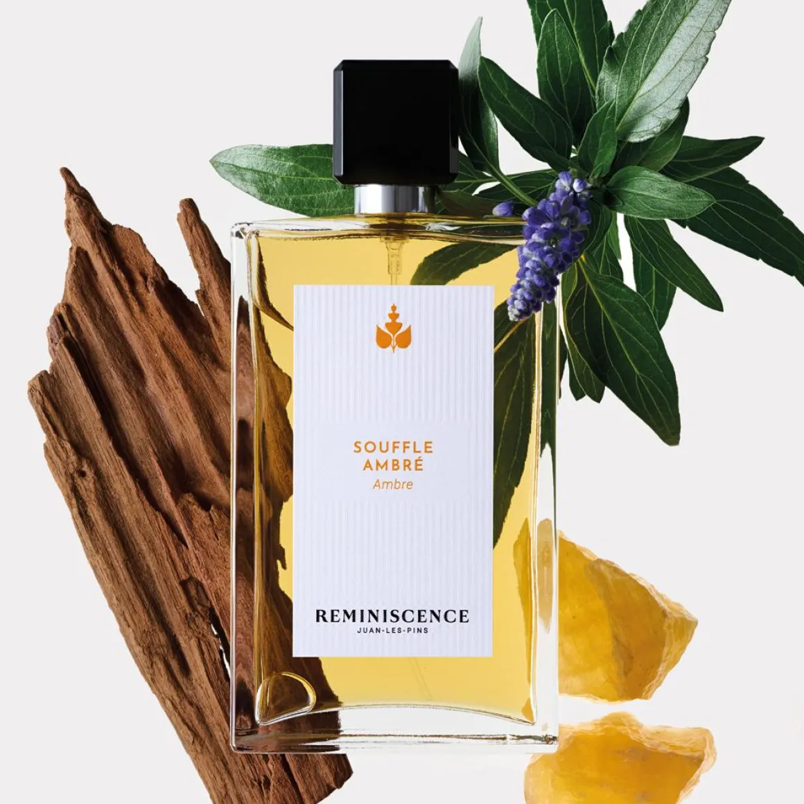 Reminiscence Souffle Ambré Parfum Kopen