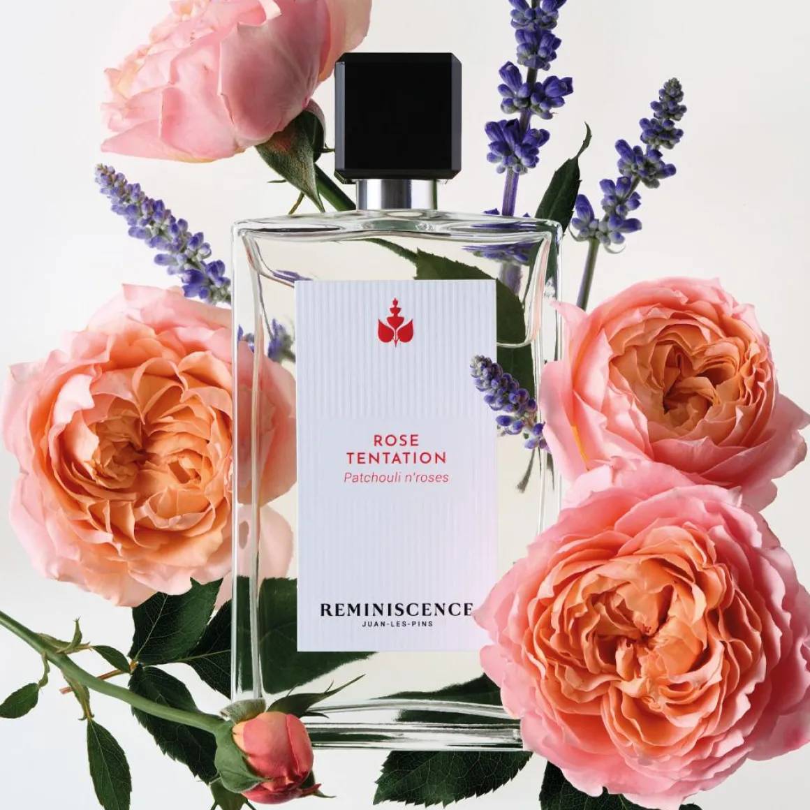 Rose Tentation Patchouli N'Roses Parfum