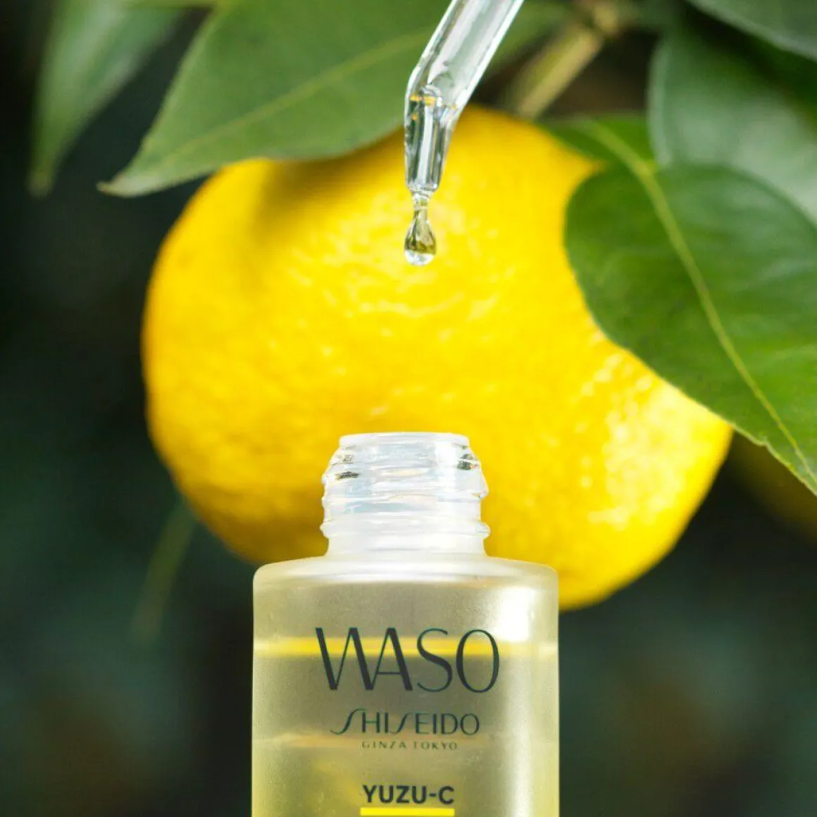 Shiseido WASO Yuzu-C Glow-on Shot Serum